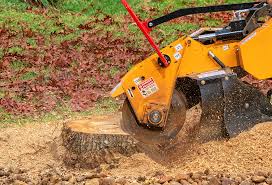 Seasonal Cleanup (Spring/Fall) in French Valley, CA